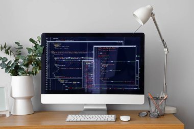 Hafif ofiste bilgisayar ve okaliptüs ile programcının işyeri