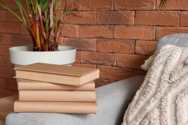 Oturma odasındaki kanepede yığınla kitap.