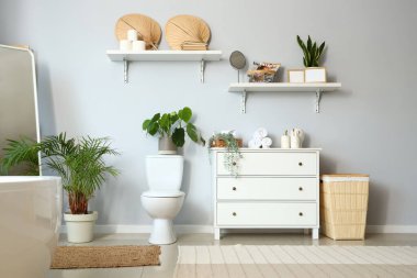 İçinde seramik klozet, çekmeceler ve ev bitkileri olan hafif tuvaletler.