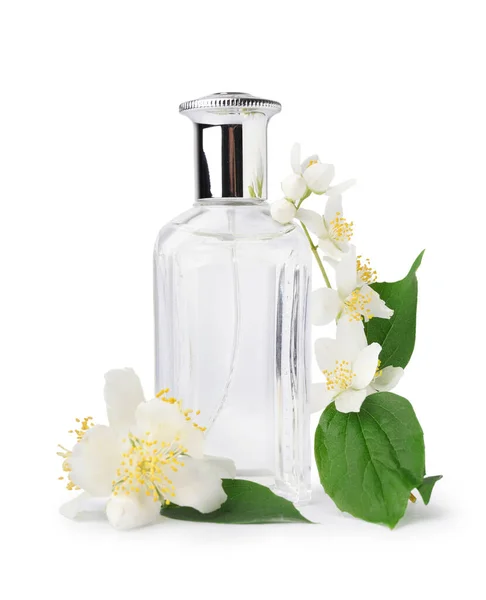 Eine Flasche Parfüm Und Schöne Jasminblüten Auf Weißem Hintergrund — Stockfoto