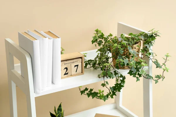 Shelving Unit Books Calendar Houseplant Beige Wall — Stock Photo, Image