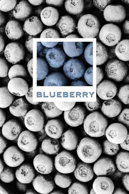 Taze yaban mersini ve fotoğraf çerçeveli kolaj