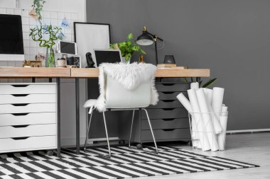 Modern ofis, işyeri ve ev bitkileri.