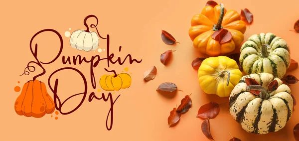 Different Pumpkins Orange Background Greeting Banner National Pumpkin Day — Stock Photo, Image