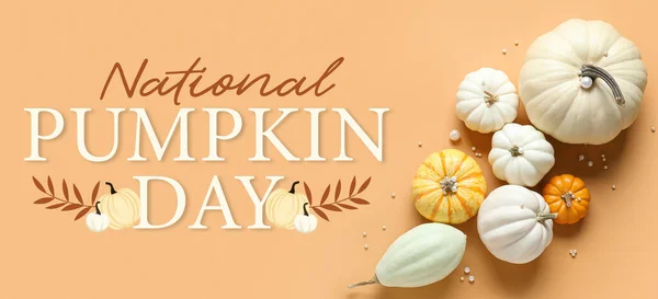Different Pumpkins Beige Background Banner National Pumpkin Day — Stock Photo, Image