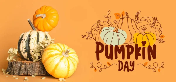 Different Pumpkins Orange Background Banner National Pumpkin Day — Stock Photo, Image