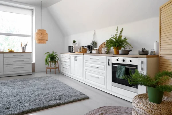 Interior of modern kitchen with white counters and houseplants