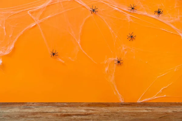 Spiders Web Color Background Halloween Celebration Concept Stock Image