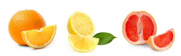 Uppsättning Citrusfrukter Isolerade Vitt — Stockfoto
