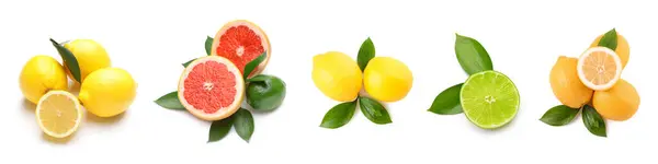 Zestaw Dojrzałych Owoców Cytrusowych Wyizolowanych Białym — Zdjęcie stockowe