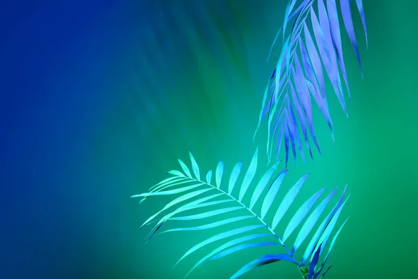 Neonové Tropické Listy Barevném Pozadí — Stock fotografie