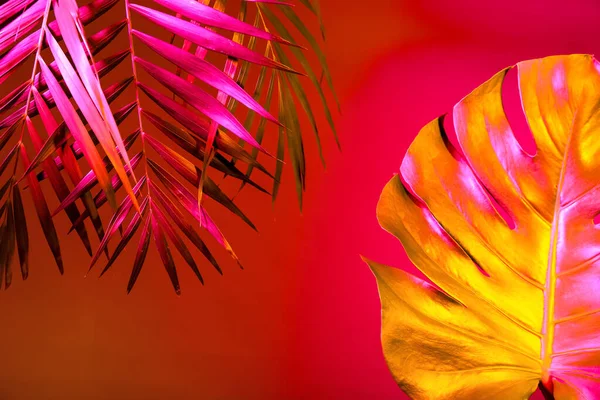 Diverse Foglie Tropicali Neon Sfondo Rosa — Foto Stock