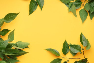 Arkaplanda yeşil ağaç dallarından yapılmış çerçeve