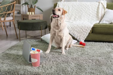 Labrador köpeği, elinde patlamış mısır, dizüstü bilgisayar ve oturma odasındaki halıda oturan 3 boyutlu sinema gözlükleriyle.