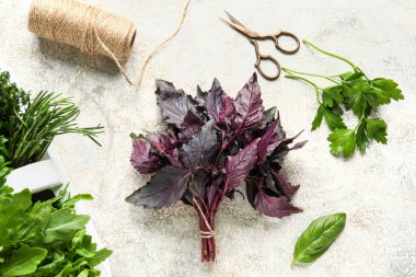 Hafif arka planda taze aromatik otlar, makas ve ip bileşimi