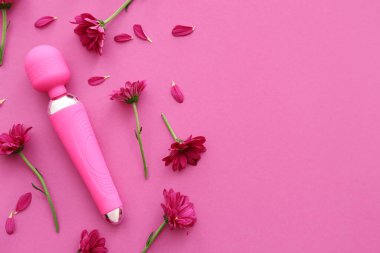 Güzel kasımpatı çiçekleri ve pembe arka planda vibratör.