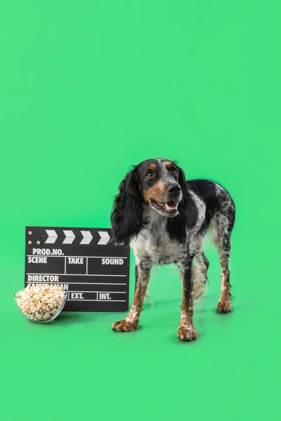 Cute cocker spaniel dog with bowl of popcorn and clapperboard on green background