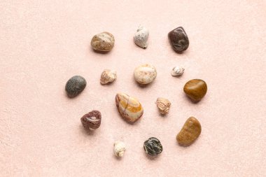 Pembe arka planda birçok çakıl taşı ve deniz kabuğu var.
