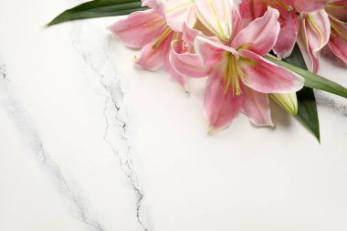 Beyaz mermer arka planda güzel zambak çiçekleri