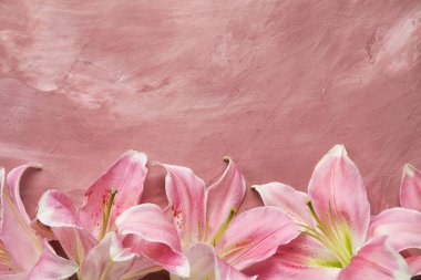 pembe bir arka plan üzerinde güzel zambak çiçekler