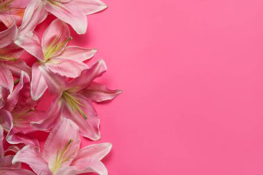 pembe bir arka plan üzerinde güzel zambak çiçekler