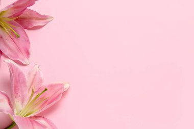 pembe bir arka plan üzerinde güzel zambak çiçekler