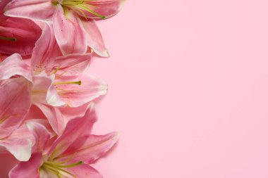 pembe bir arka plan üzerinde güzel zambak çiçekler
