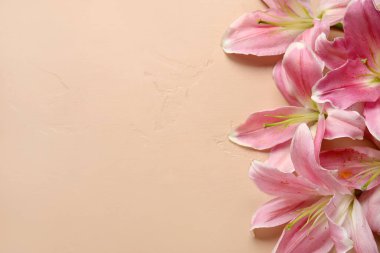 Bej arka planda güzel zambak çiçekleri