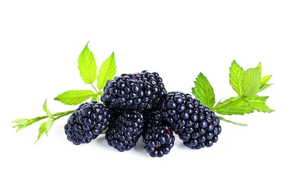 白色背景的新鲜黑莓和树叶 — 图库照片