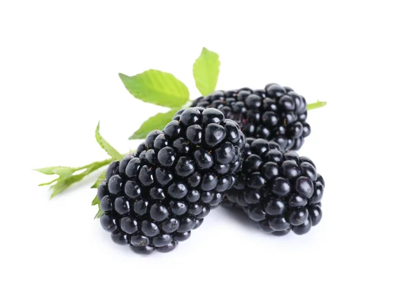 白色背景的新鲜黑莓和树叶 — 图库照片