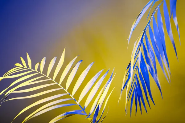 Neon tropical leaves on colorful background