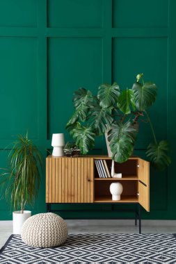 Oturma odasının içinde çekmeceler ve Monstera bitkileri var.