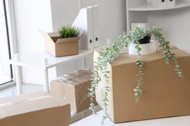 Taşındığı gün ışık ofisinin içinde eşyaların olduğu karton kutular.