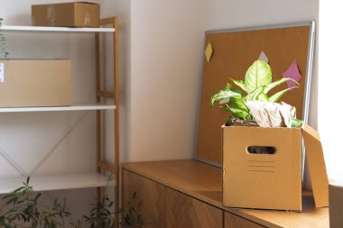 Taşındığı gün ofisinde tahta tahtası olan karton kutu.