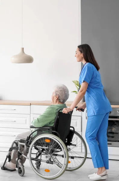 Young Caregiver Senior Woman Wheelchair Home — Stock Photo, Image