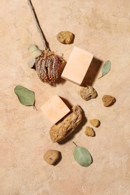 Alçıdan podyumlar, taşlar ve kurumuş çiçeklerle renklendirilmiş arkaplan