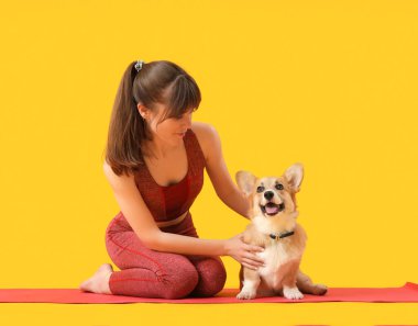 Sarı arka planda sevimli Corgi köpeğiyle yoga minderinde oturan sportif genç kadın.