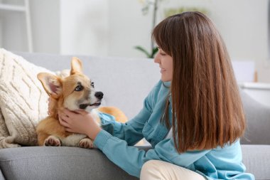 Gri kanepede şirin Corgi köpeği olan genç ve güzel bir kadın.
