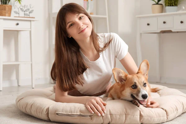 Pretty Young Woman Lying Pet Bed Cute Corgi Dog Living — Stock Photo, Image