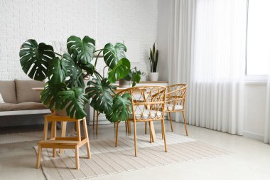 Modern yemek odasının içinde yeşil bitkiler var.