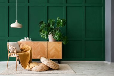 Oturma odasının içinde koltuk ve Monstera bitkisi var.