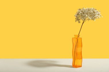 Sarı arka planda kurumuş beyaz çiçekli vazo