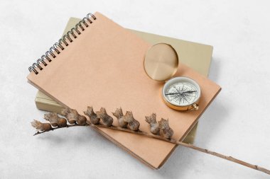 Not defterleri ve beyaz grunge arkaplan üzerinde pusula olan hebani tohumları