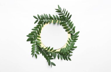 Akasya ağacının yeşil yaprakları ve beyaz zemin üzerinde yuvarlak boş kart