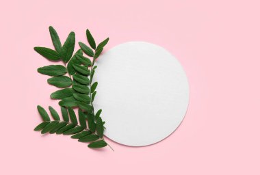 Akasya ağacının yeşil yaprakları ve pembe arka planda yuvarlak boş bir kart.