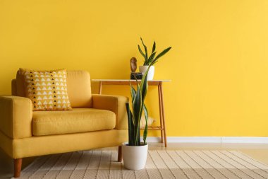 Rahat koltuk, konsol masası ve sarı duvarın yanındaki bitkiler.