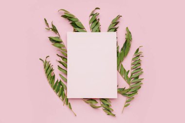 Pembe arka planda yeşil akasya yapraklı boş kart