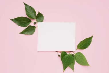 Pembe arka planda yeşil yapraklı boş kart