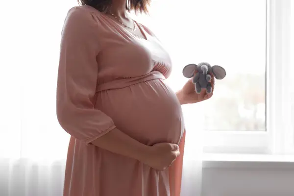 Junge Schwangere Frau Mit Spielzeugelefant Der Nähe Von Fenster Hause — Stockfoto