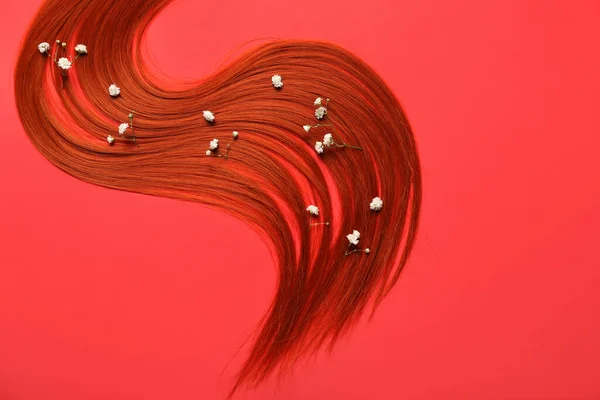 红发丝和红色背景花朵的组合 — 图库照片
